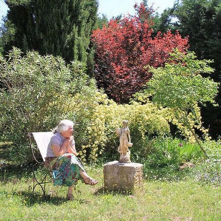 Gite Derriere Les Oliviers -Le Mas De La Cigale Bleue Caumont-sur-Durance Bagian luar foto